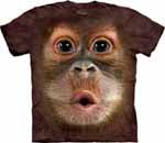 Big Face Zoo Animal T-Shirts