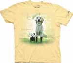 View The Loose Leashes Collection