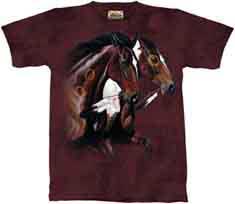 Click to Enlarge