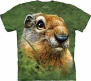 View All Animal Collections