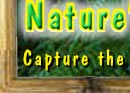 NaturesHabitat.com/index.html