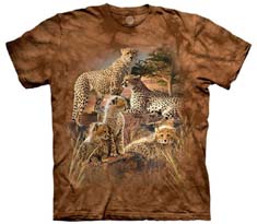 The Coalition T-Shirt
